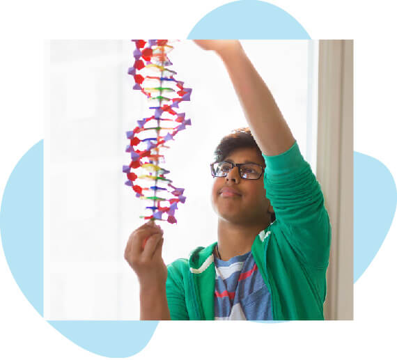Advanced Placement (AP) Courses with FLVS